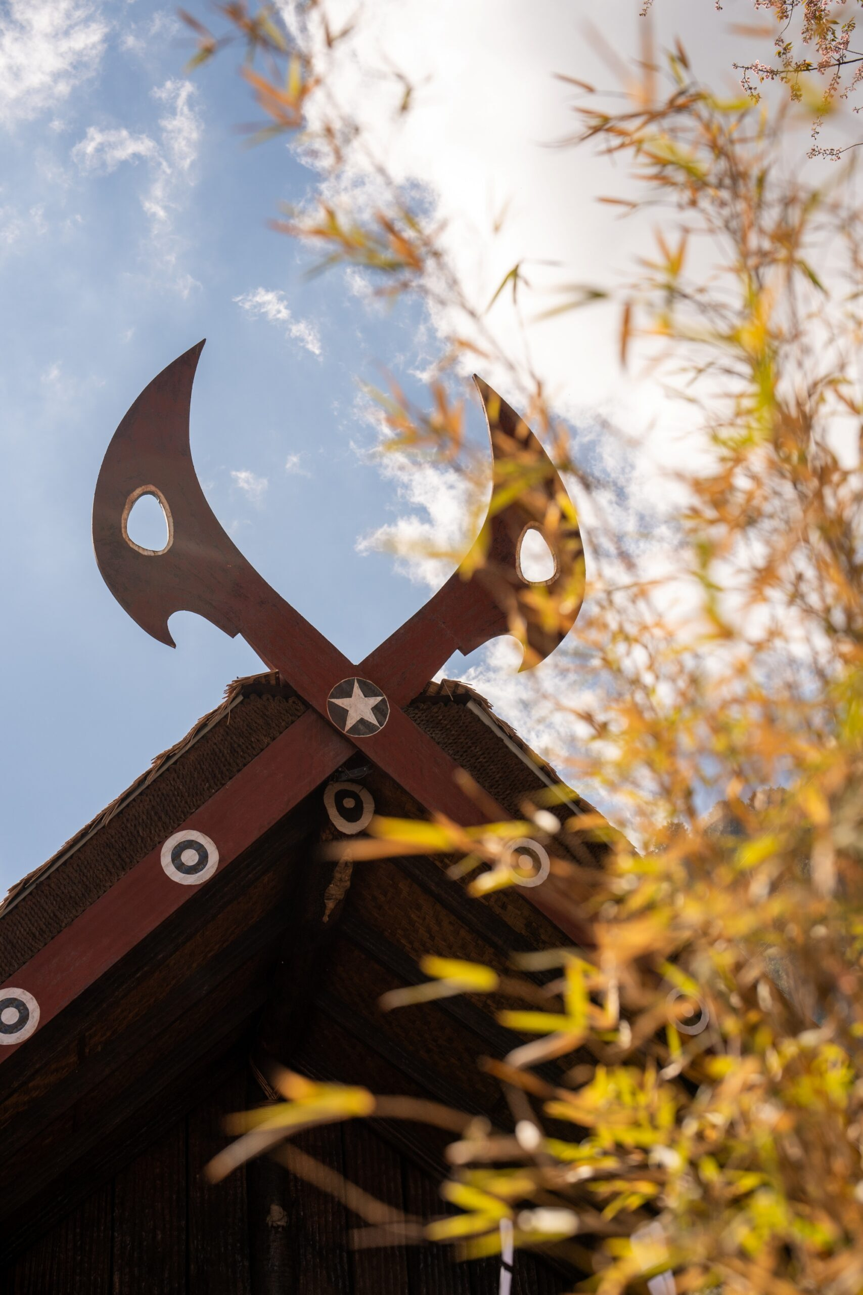 Morung - traditional naga house