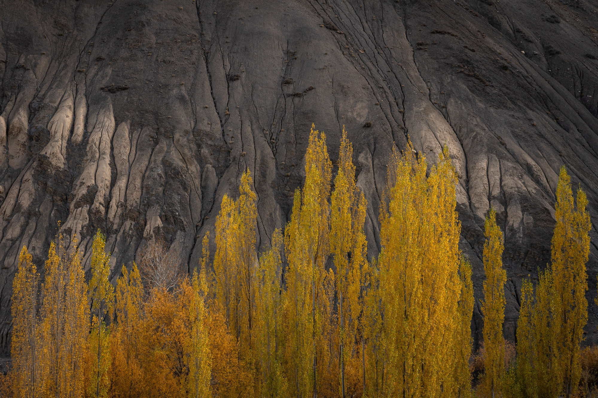 lamayuru - the moonland in autumn