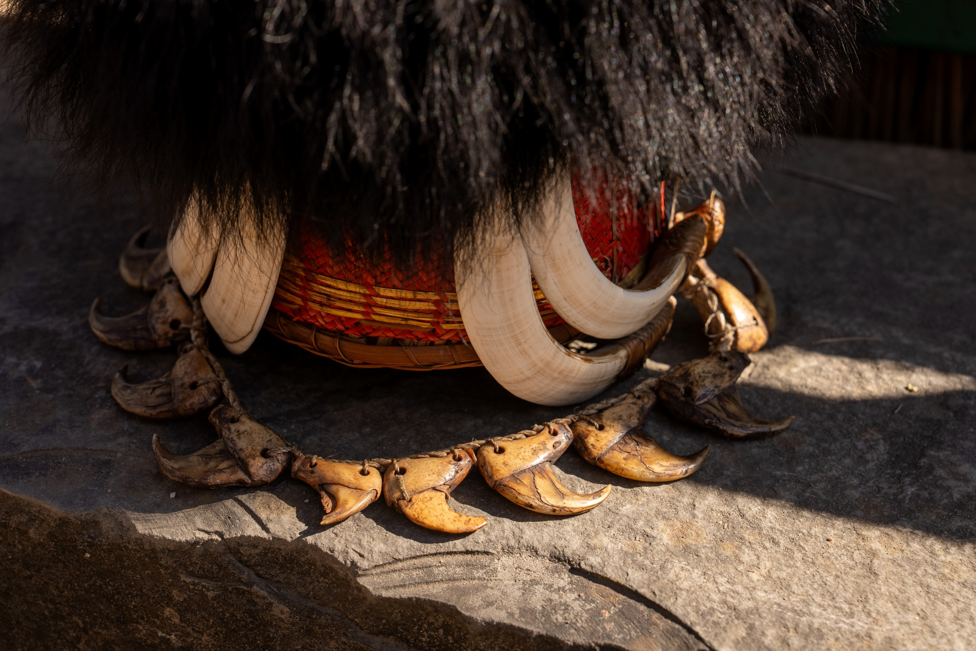 The pride of naga people