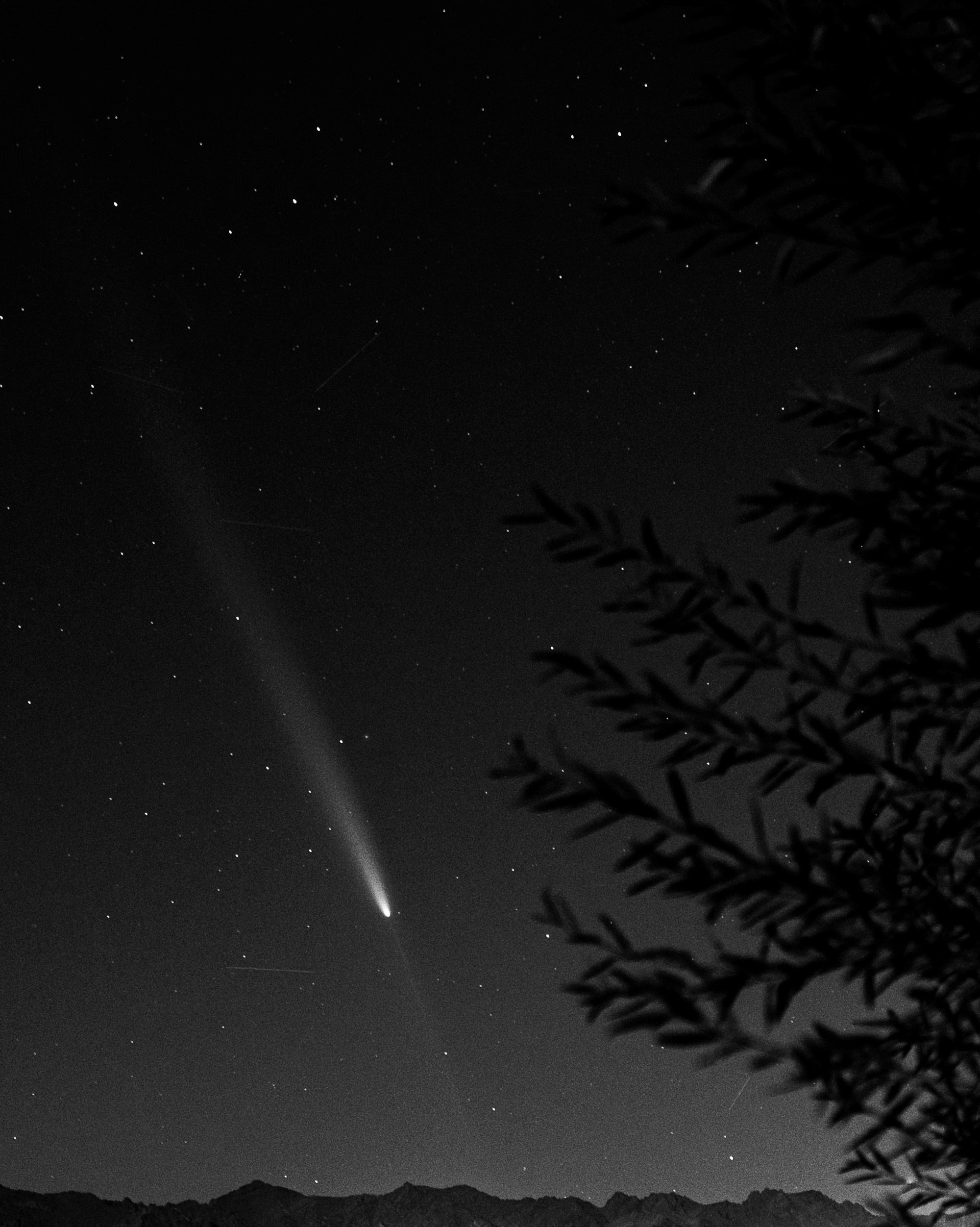 Comet c-2023
