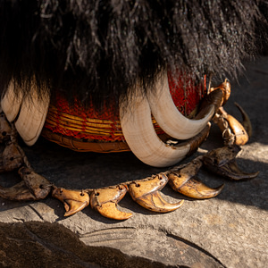 The pride of naga people